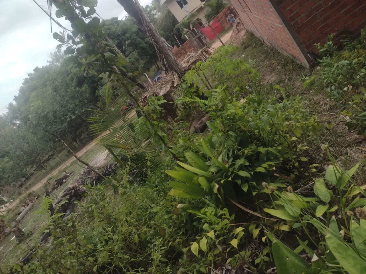 Terreno ( troco em moto ) - Foto 3