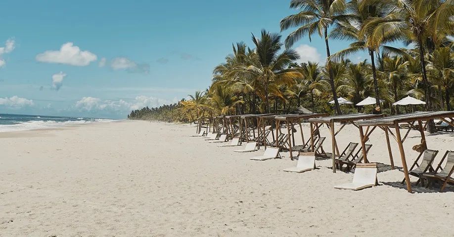 Fazenda em serra grande bahia  - Foto 4