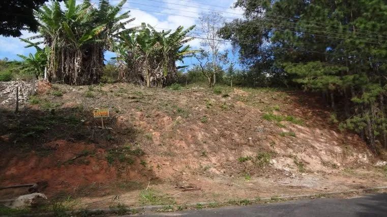 Foto - São Paulo - Jardim Marisa