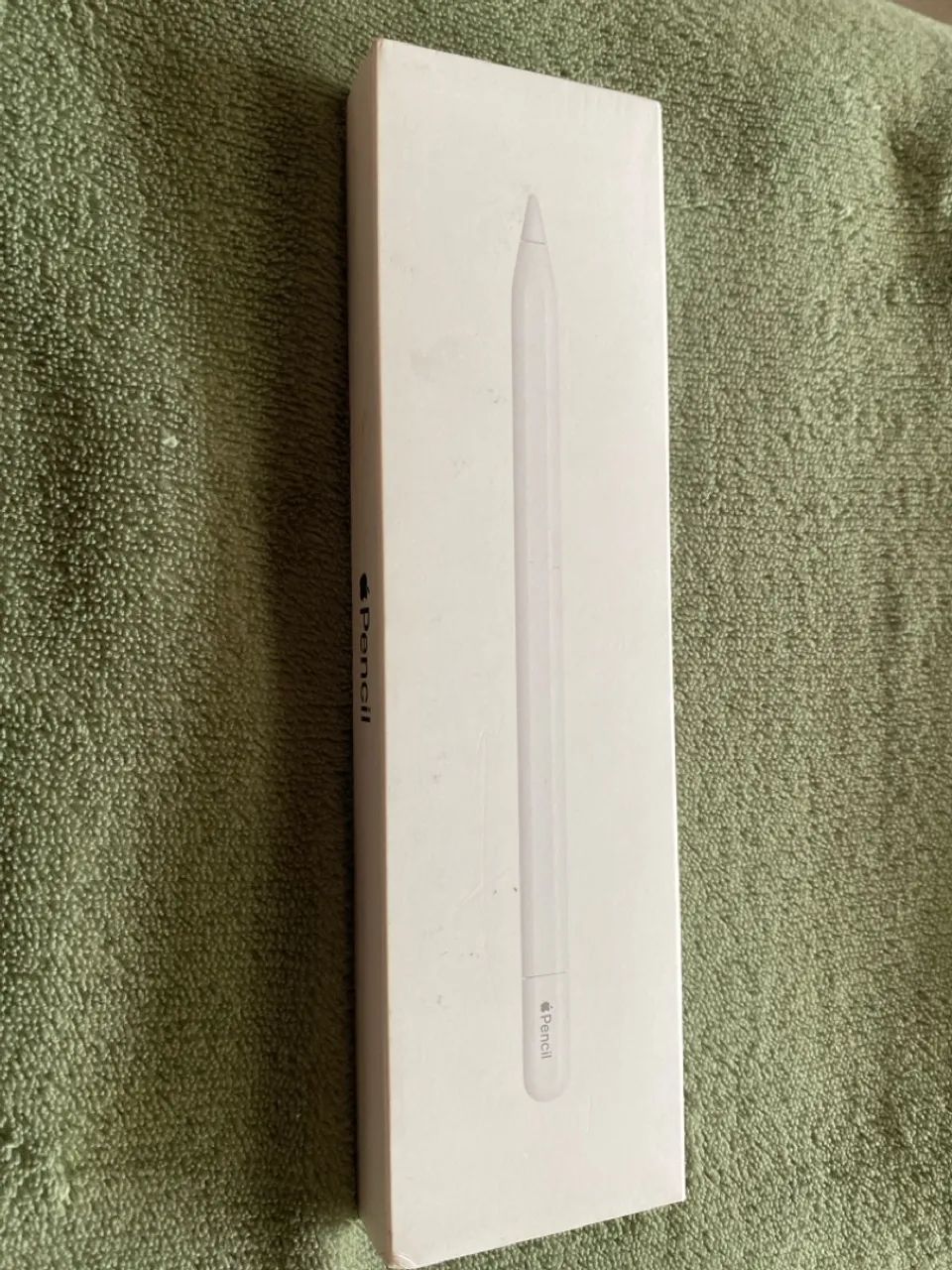 Caneta Apple Pencil Ipad Original