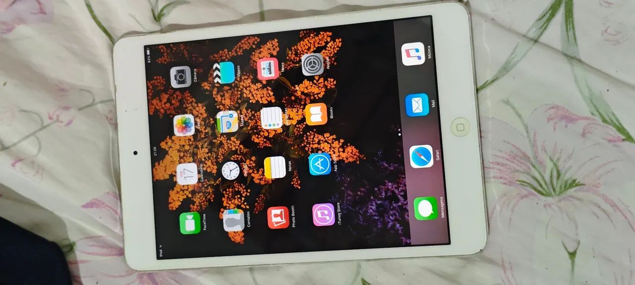 Ipad mini 1 