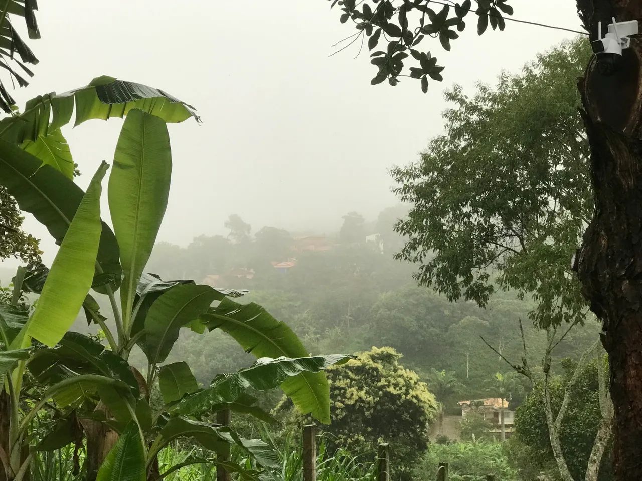 Terreno em Mulungu - Foto 5