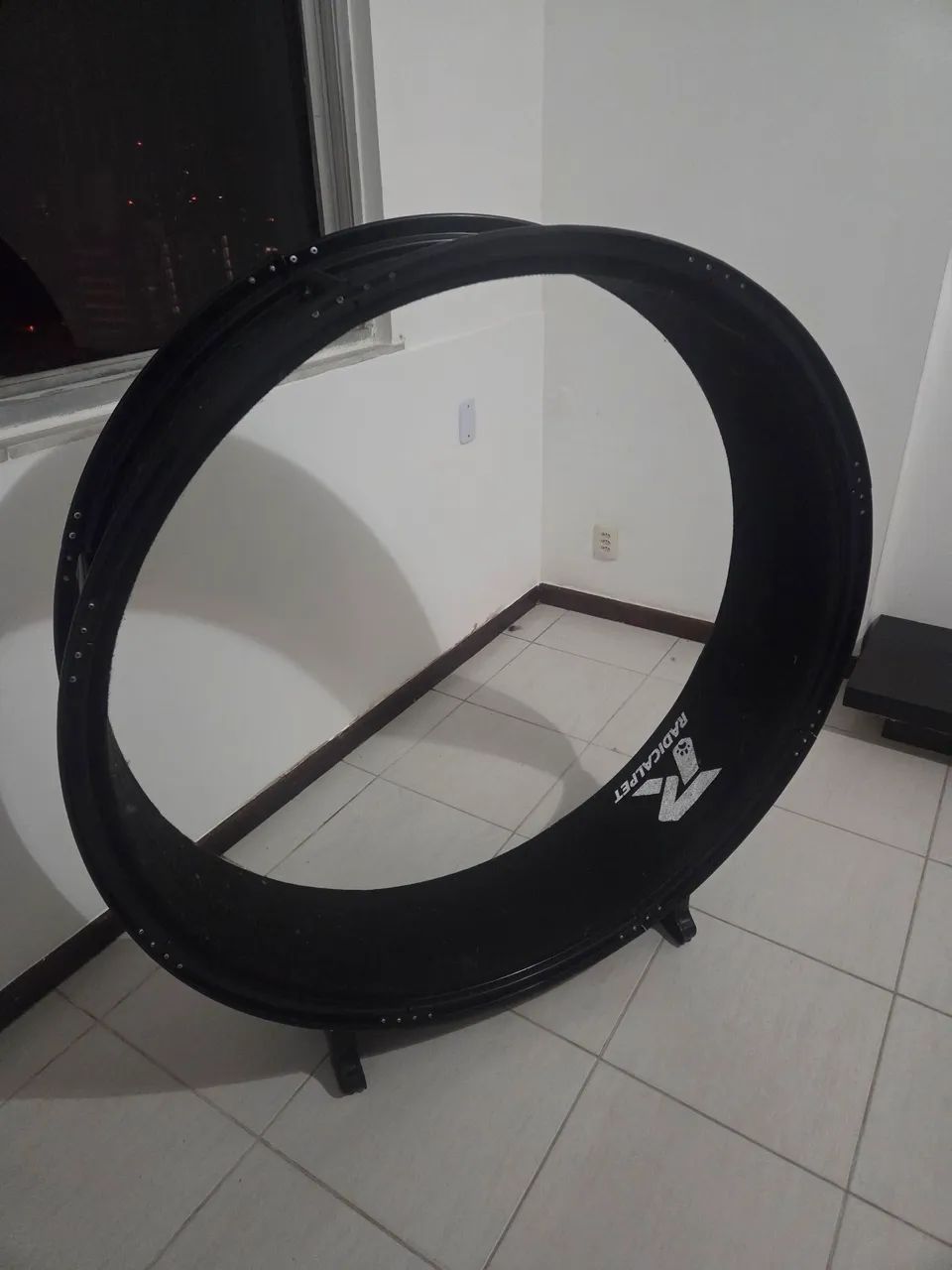 Roda de Exercício para Gatos ? Radicalpet ?