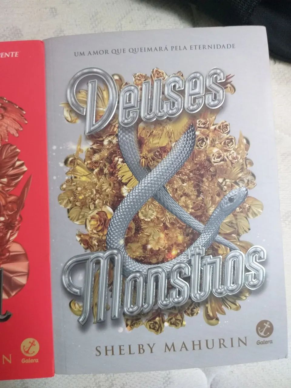 Passaro e Serpente Box - Foto 4
