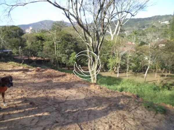 Terreno de 1312.48m² no bairro Córrego Grande - Foto 3
