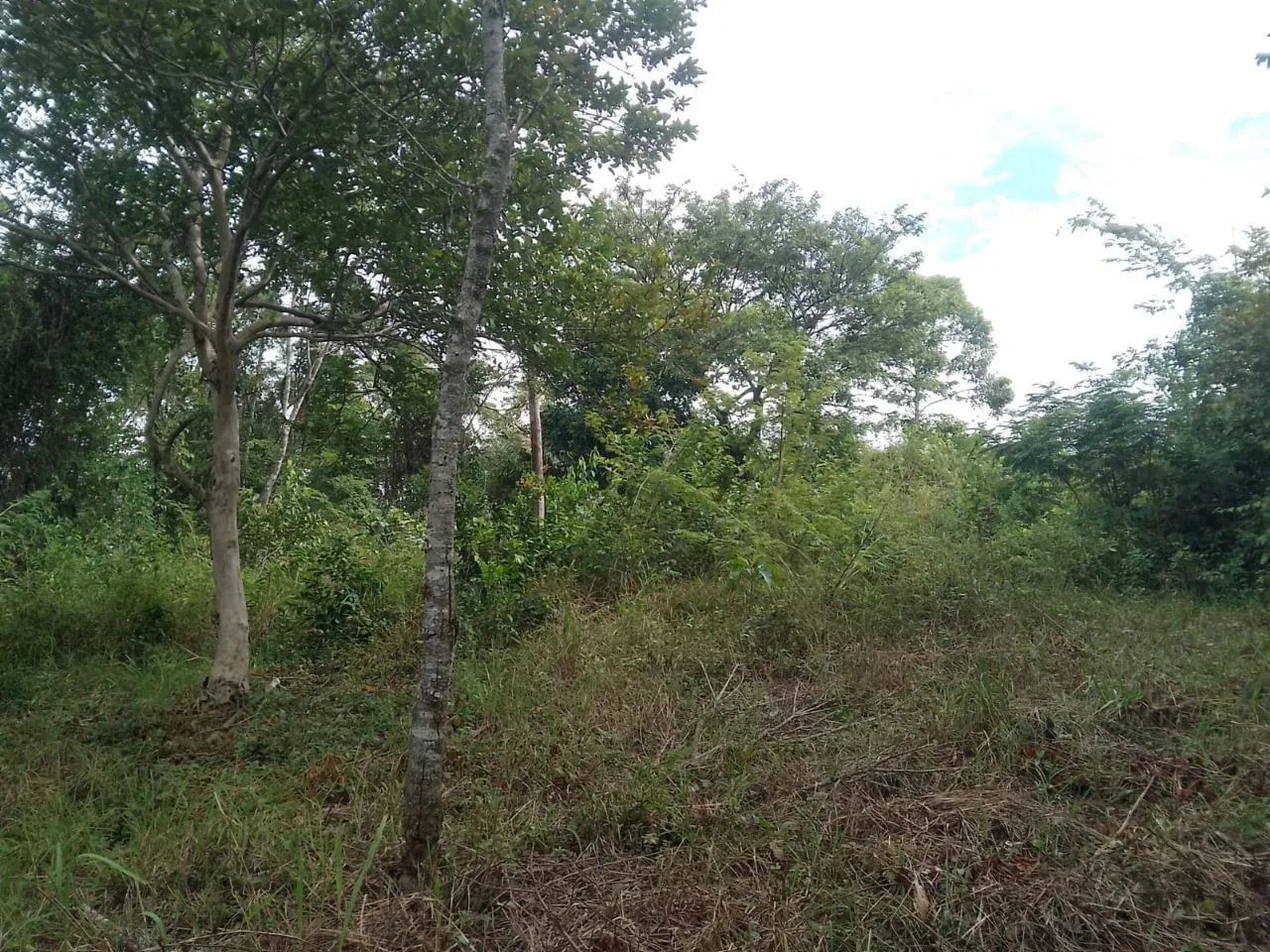 Terreno com escritura e RGI - Foto 5