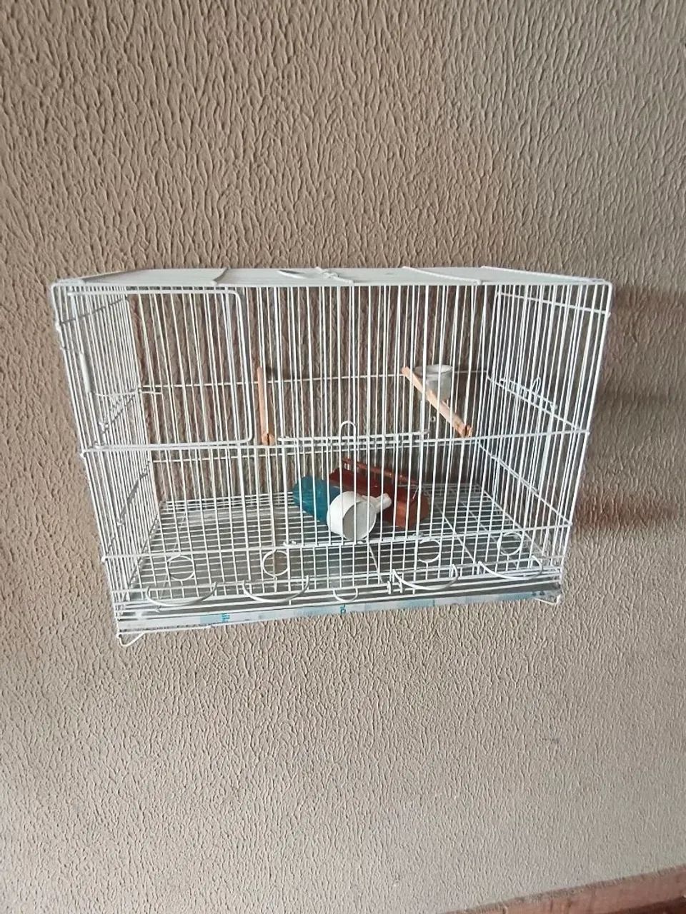 Gaiolas de aço para canários semi novas - Foto 4