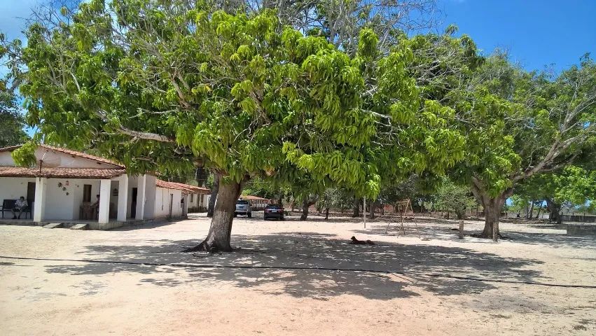 Sítio Grande em Cascavel - Guanacés - Ceará - Foto 3