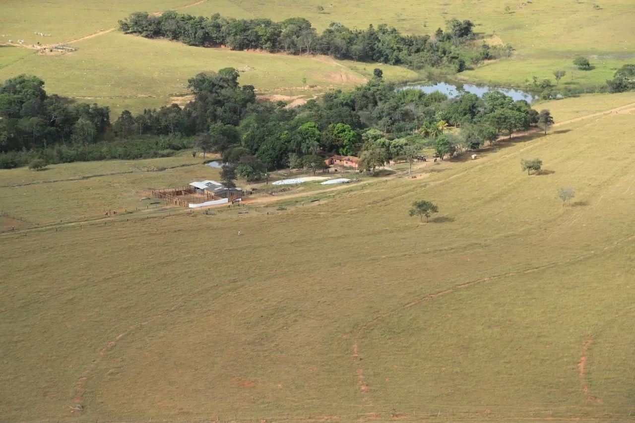Fazenda de 21 alq em São Francisco-Go  - Foto 4