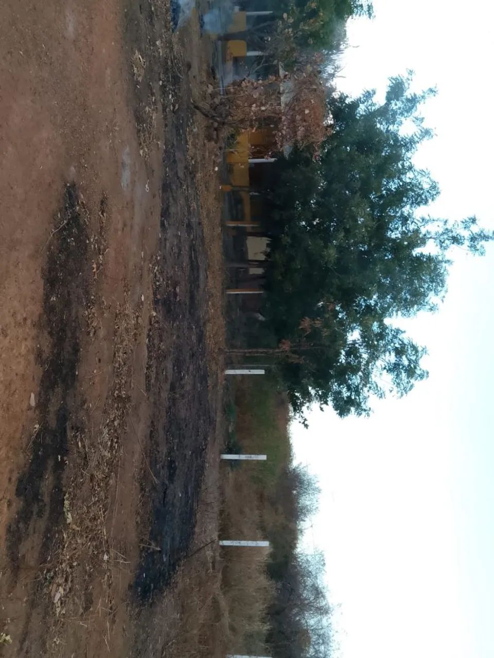 Vendo esta propriedade  - Foto 5