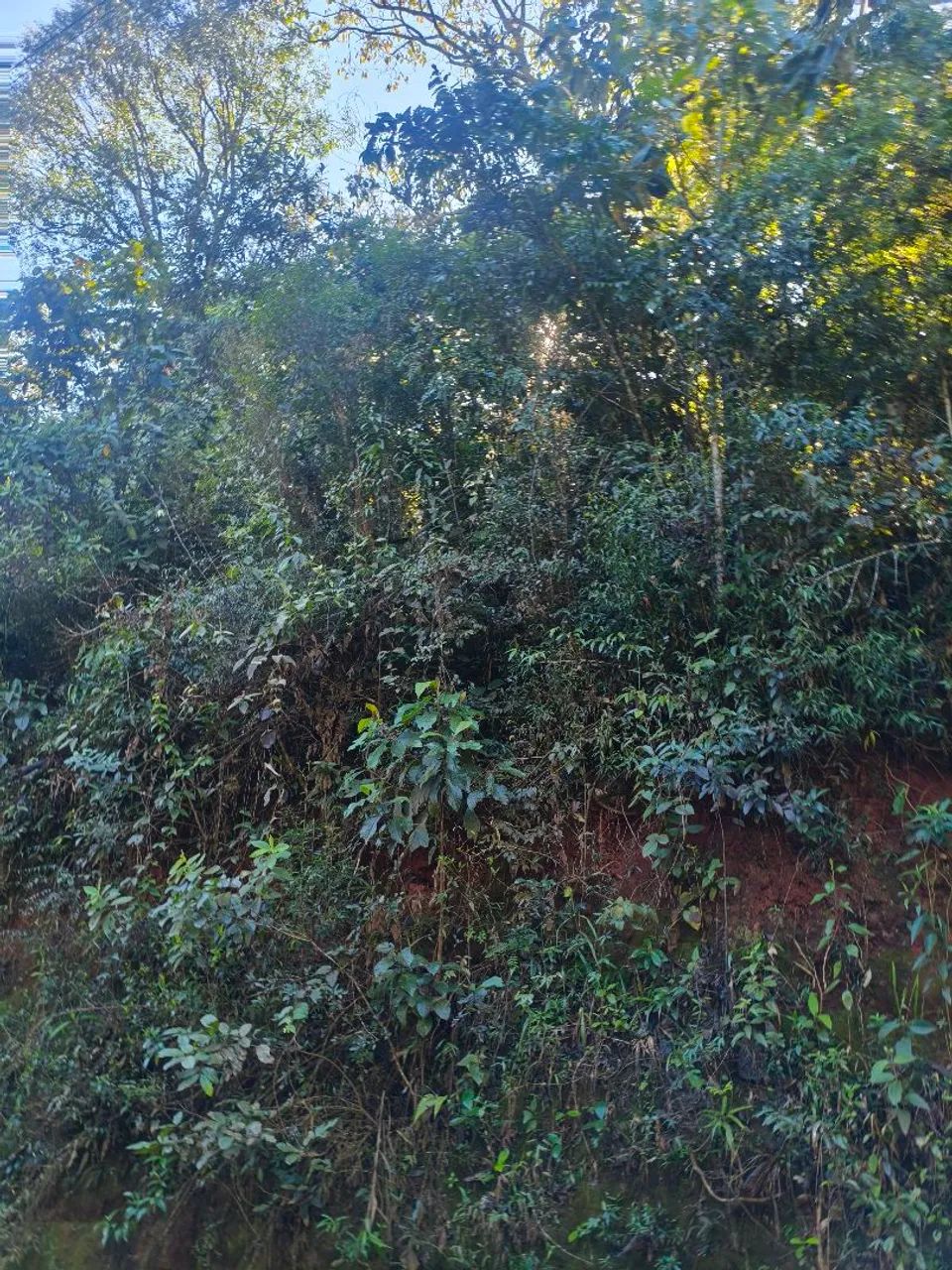 Terreno para sítio  - Foto 4
