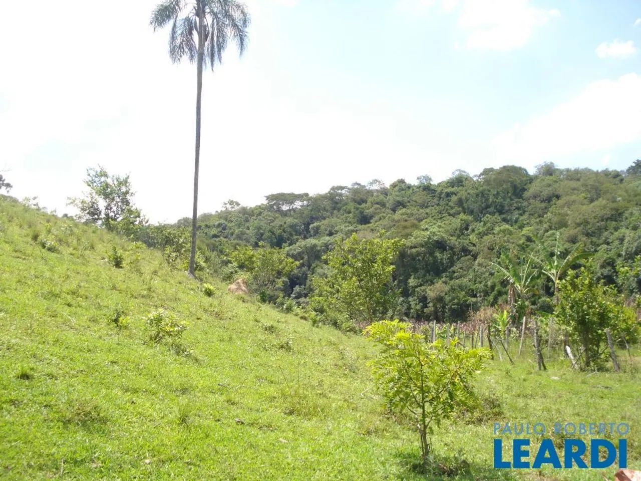 AREA - JARDIM SANTO ANTÔNIO - SP - Foto 4