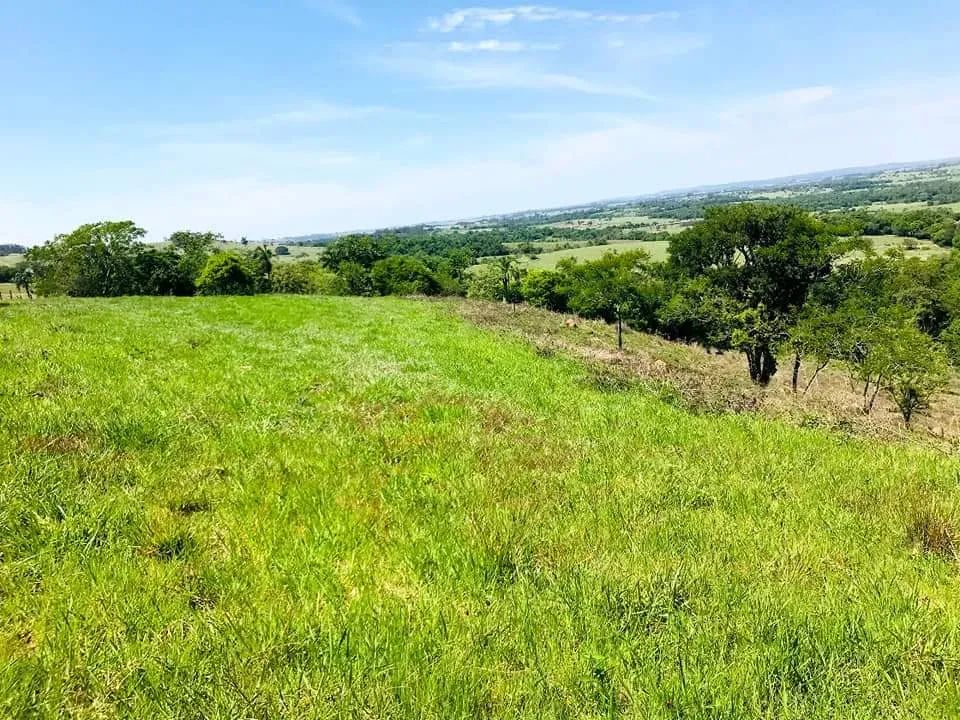 Sítio para venda em Cesário Lange com 3,5 alqueires - Foto 3