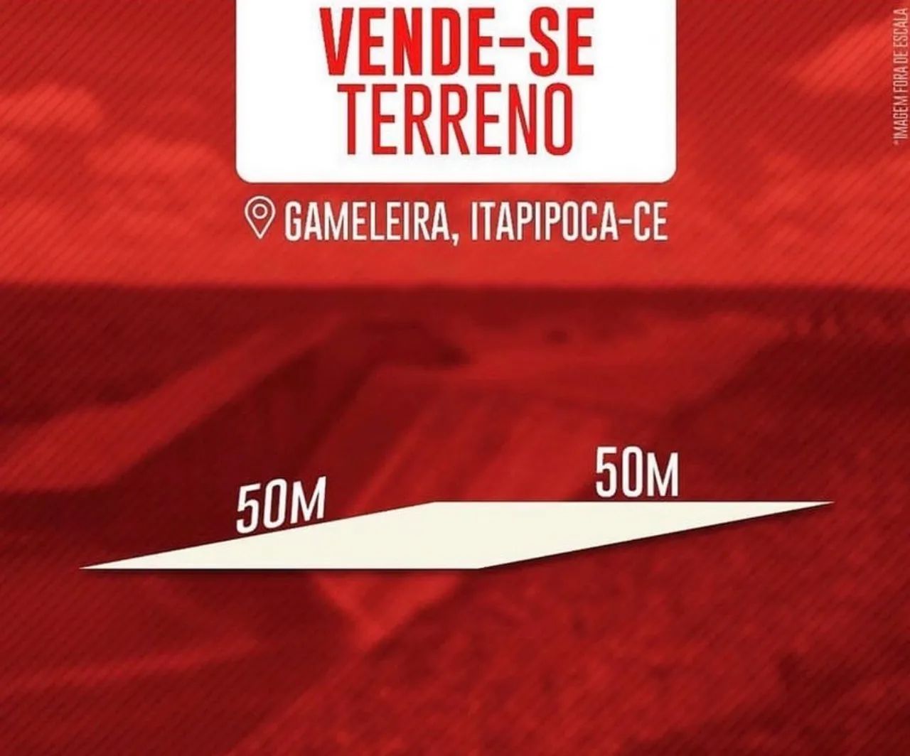 Foto - Itapipoca - Coqueiro