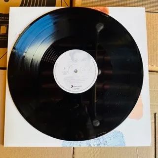 Celine Dion - Falling Into You LP Vinil - Foto 3