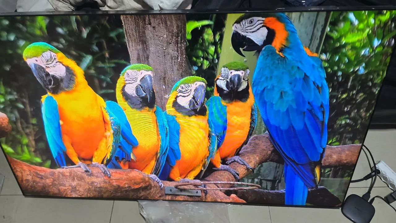 Tela Tv Monitor 55 polegadas Profissional - Foto 3