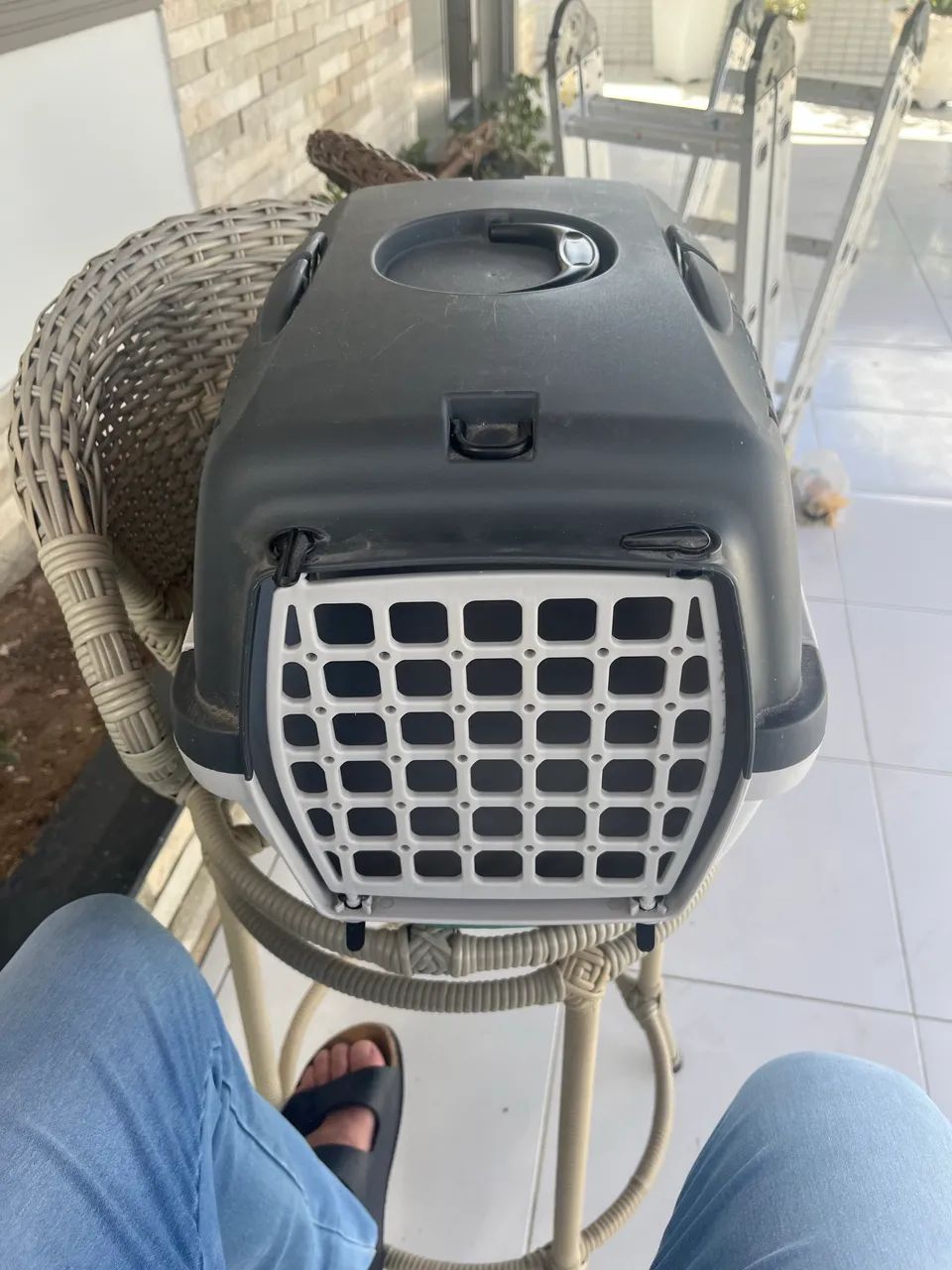 Caixinha para transportar pet  - Foto 3
