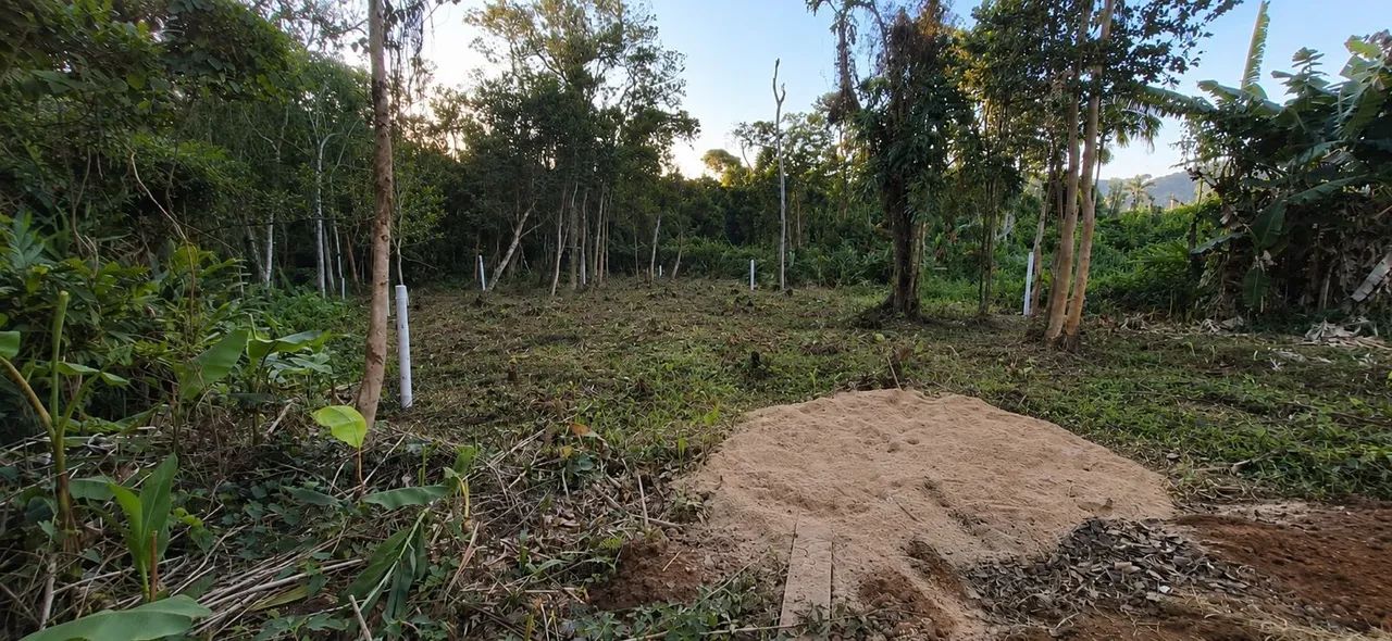 Terreno à venda no Campeche - Foto 5