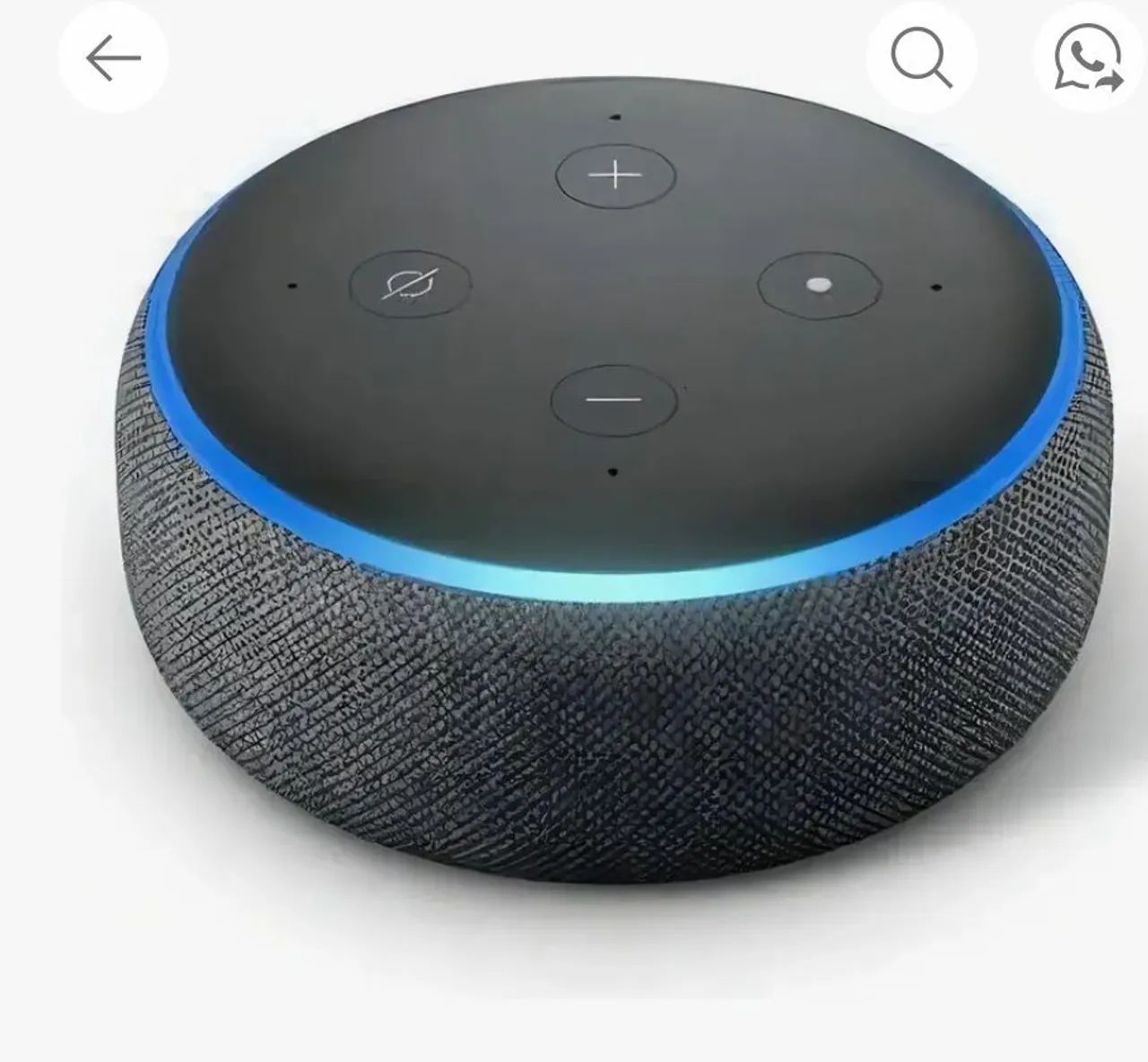 Alexa 