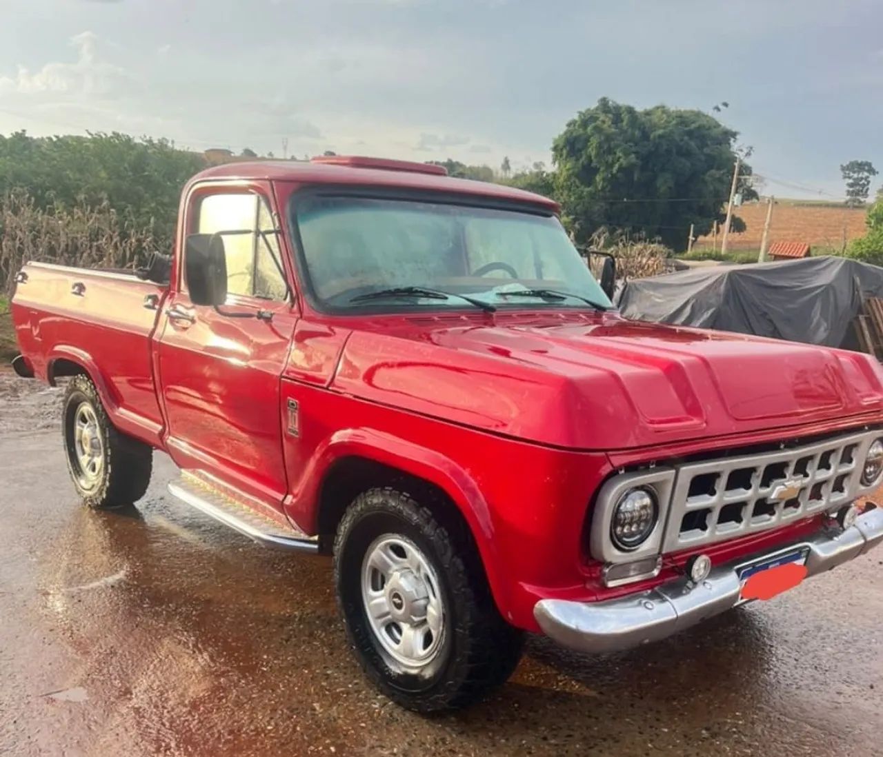 Chevrolet D-10 Diesel 1983