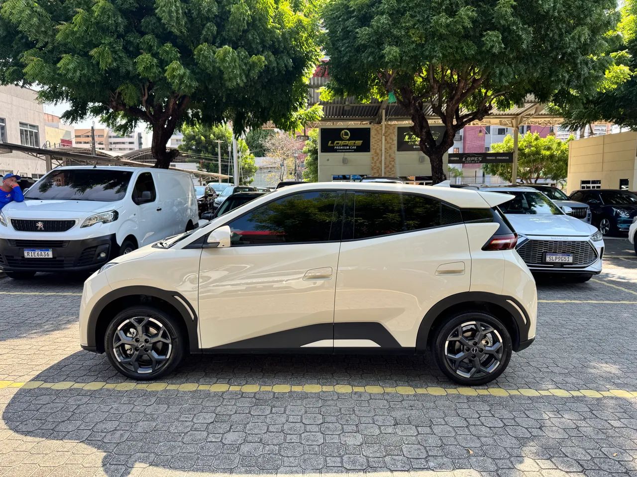 BYD Dolphin Mini (Elétrico) 2026 - Foto 4