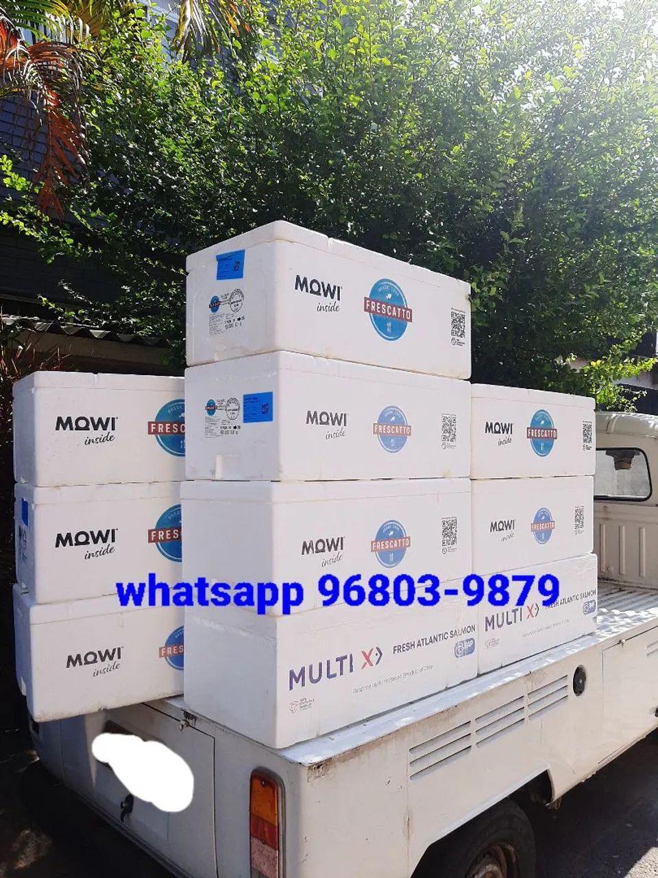 Caixas de isopor 45 litros