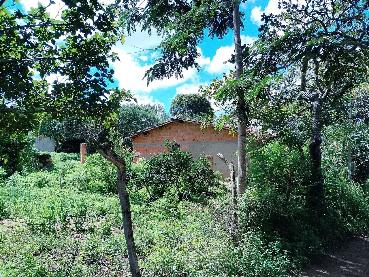 Vendo sítio meio equitare  - Foto 3