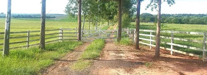 PECUÁRIA - Área Rural 126 Alqueires - Loanda - Pr - Foto 4