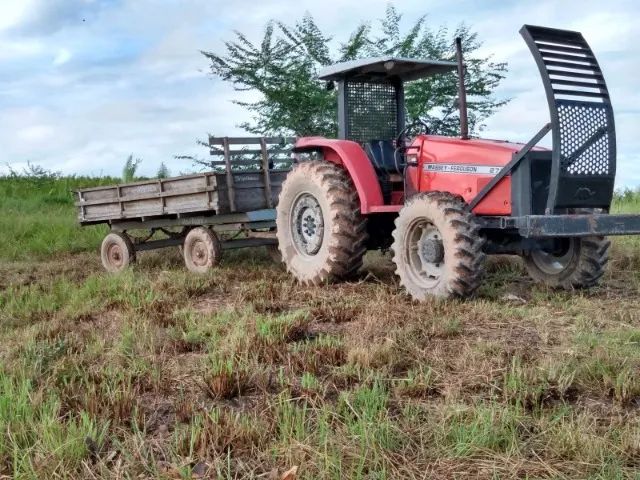Trator Massey Ferguson 275 + Implementos ? Conjunto Completo - Foto 4