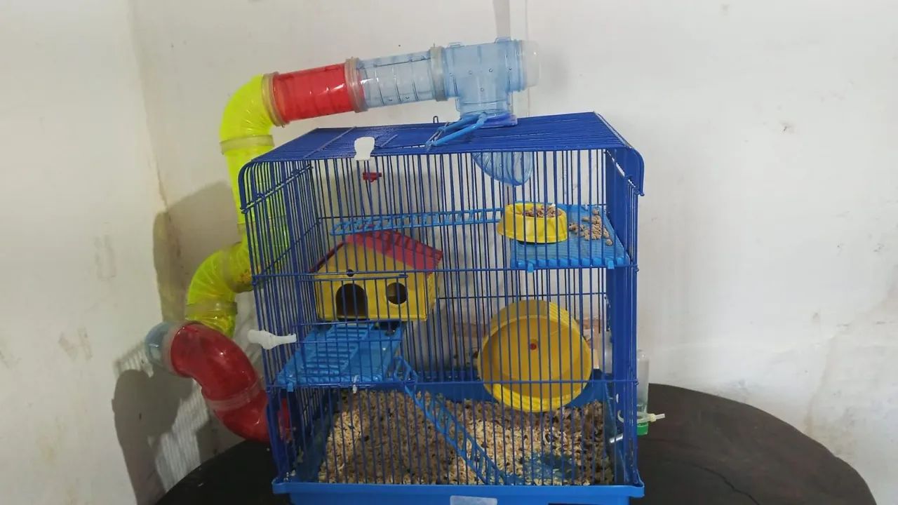 Gaiola de hamster 