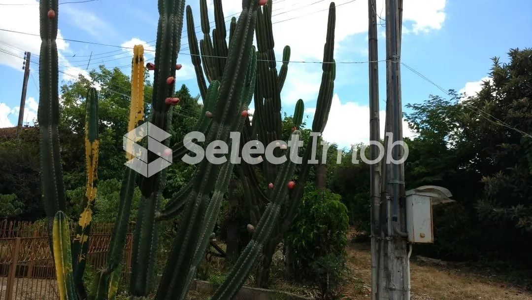 Chácara à venda 2 quartos em Área Rural de Cerquilho - Foto 4