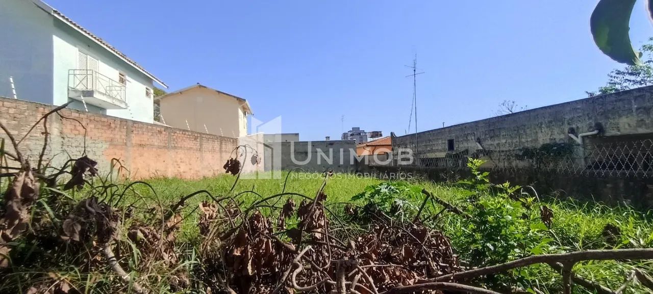 terreno - Nova Campinas - Campinas - Foto 4