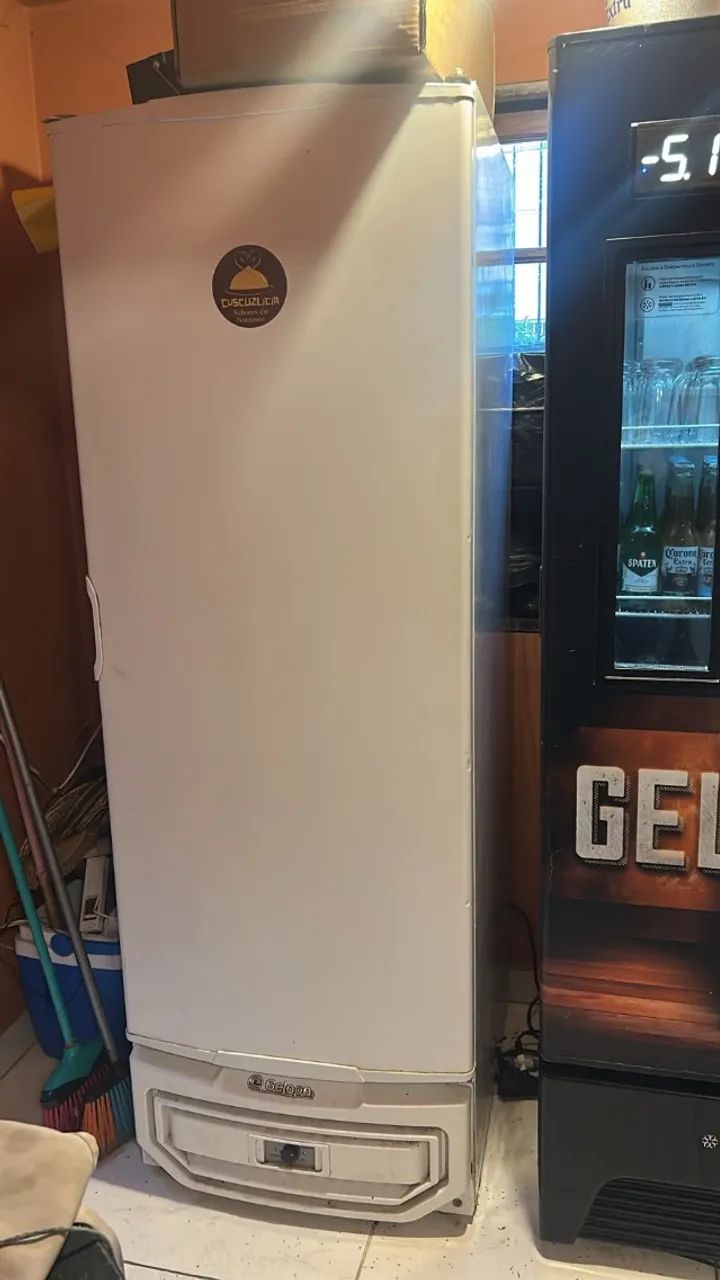 Freezer Vertical