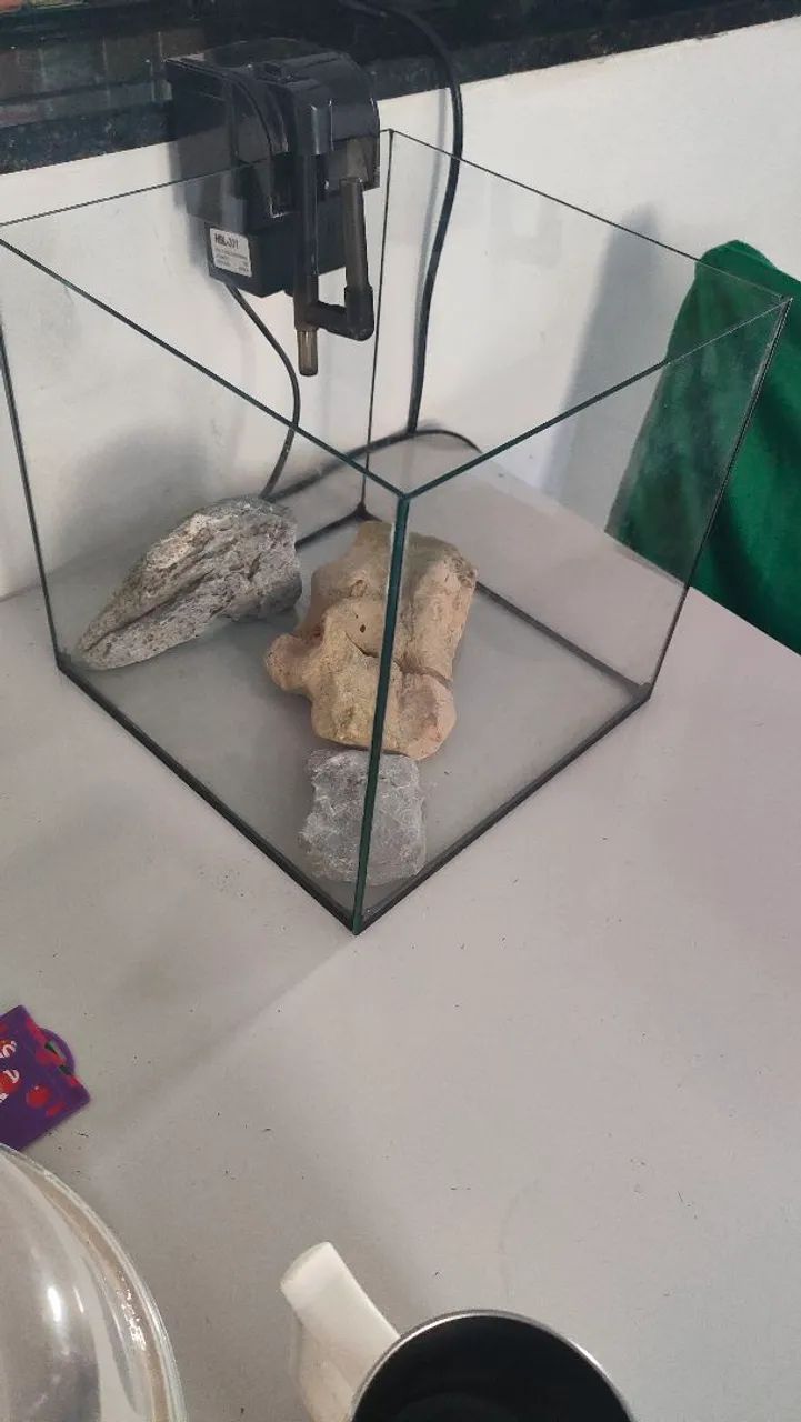 Aquário 15Lts + Filtro e pedras ornamentais  - Foto 4