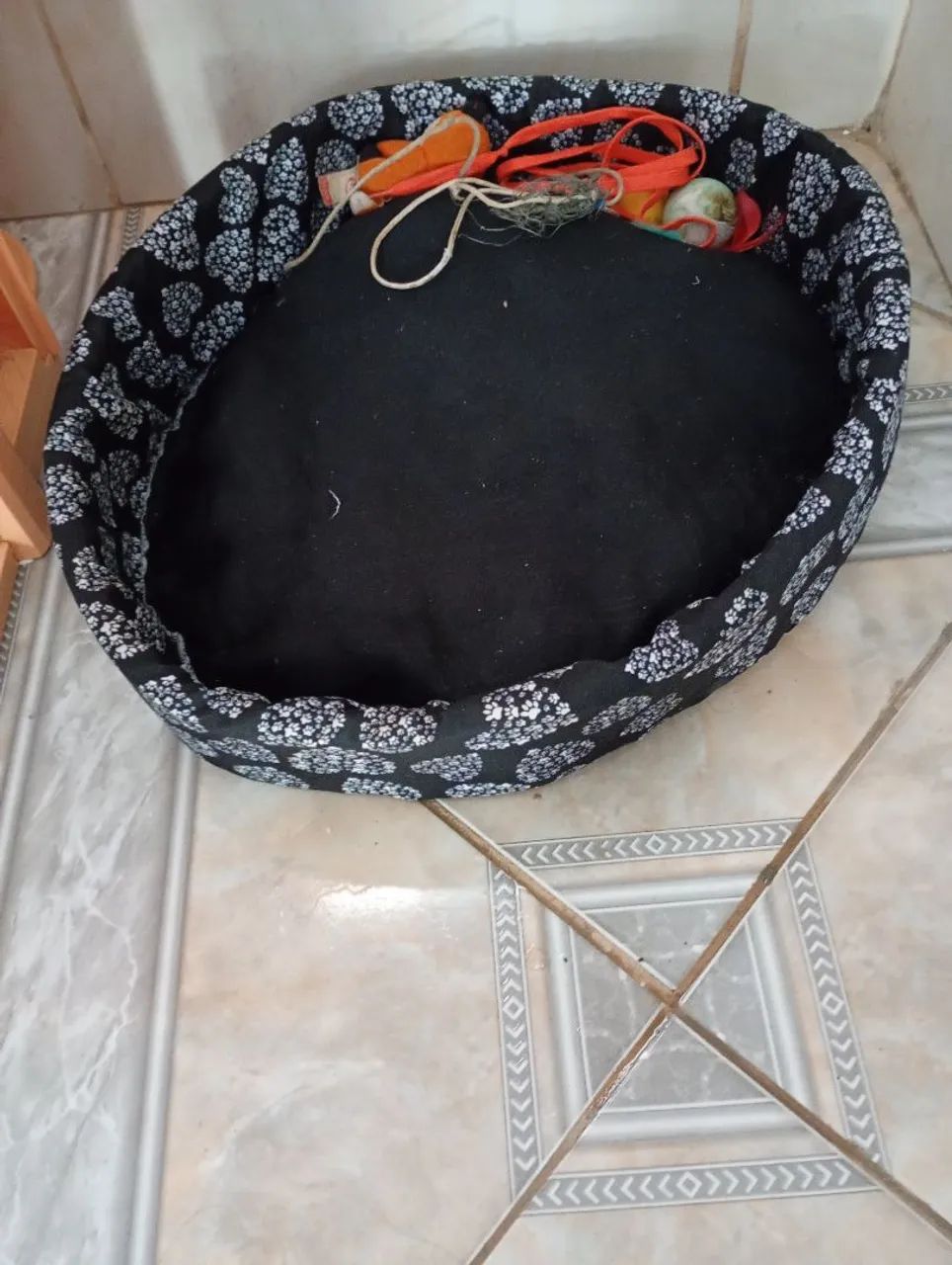 Caminha cachorro 