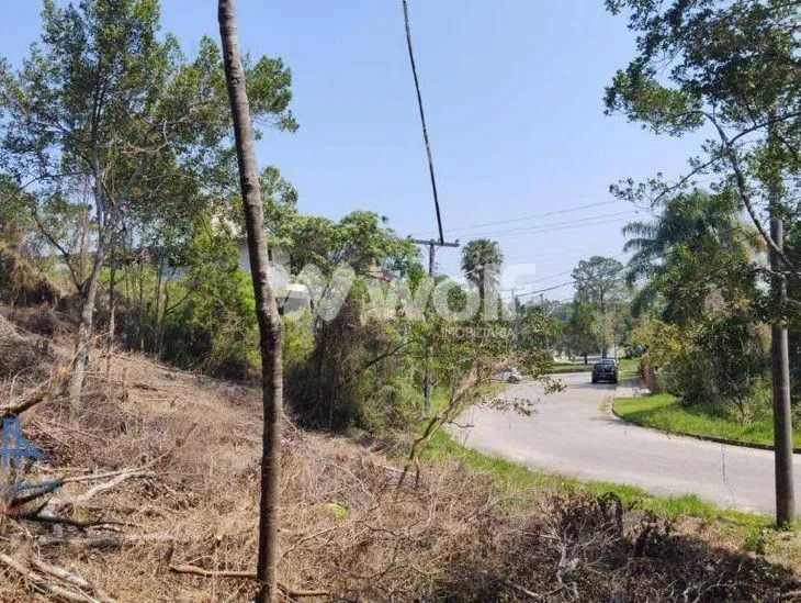 Terreno no João Paulo / Florianópolis - Foto 3