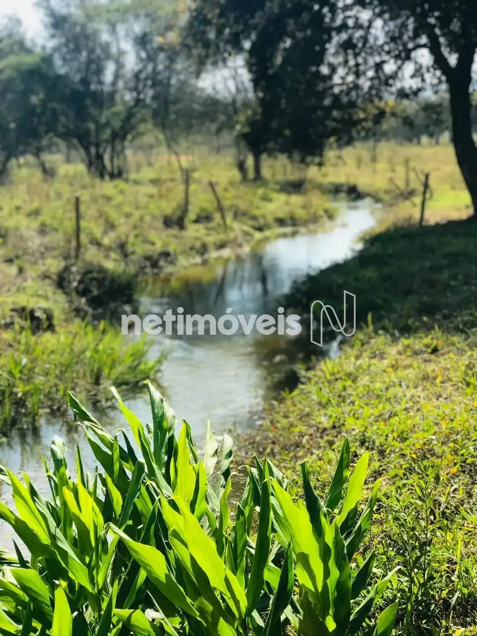Venda Sítio Peroba de Baixo Piracema - Foto 3