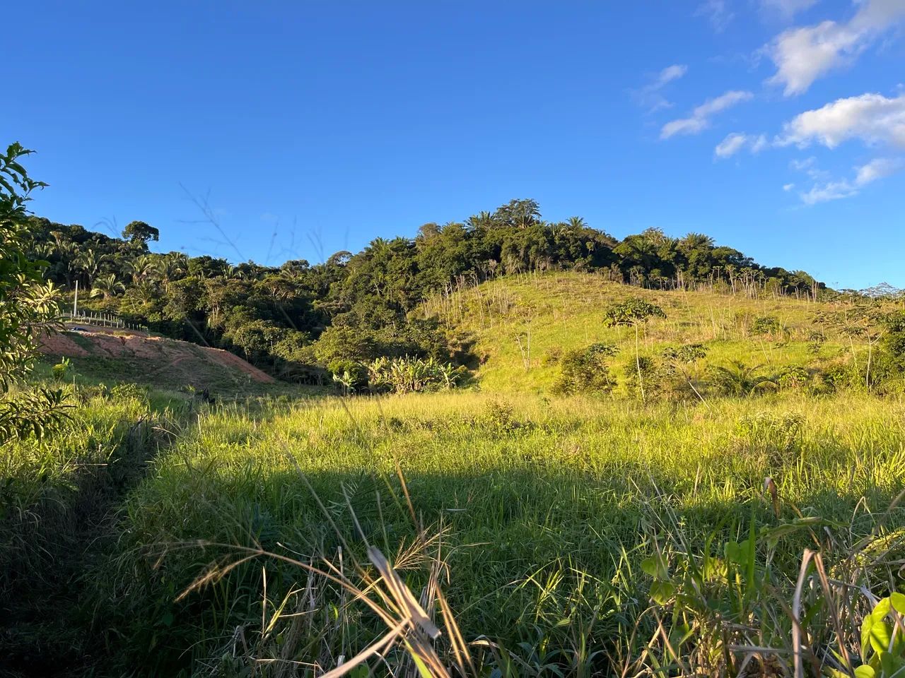 LOTE PARA SÍTIO EM SÃO LUÍS DO QUITUNDE  - Foto 4