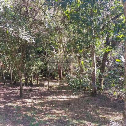 Chácara à venda em Borda do campo, São josé dos pinhais cod:152480 - Foto 9