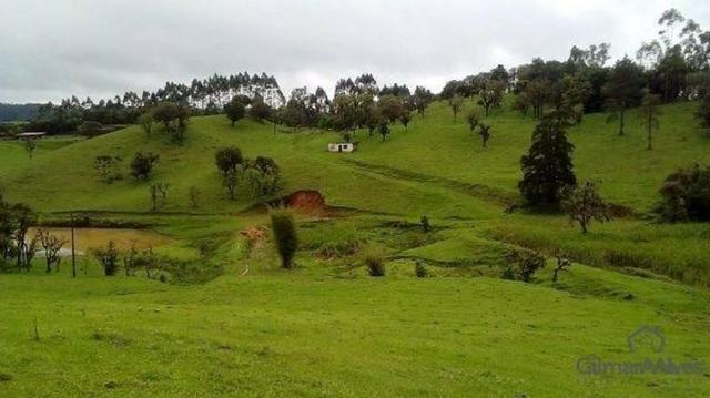 Chácara para Venda, 168.604,00 m², São Bento do Sul / SC, bairro Serra Alta - Foto 7