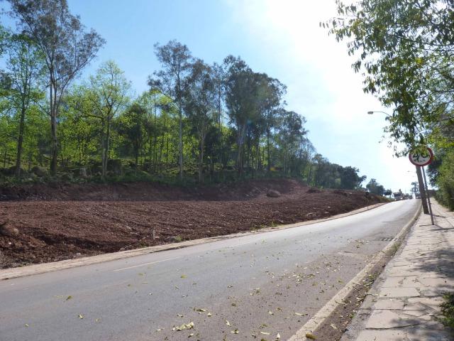 Terrenos Urbanizados - Caxias do Sul - Foto 7