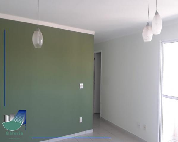 Apartamento em ribeirão preto aluguel, locação