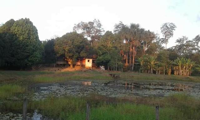 Chácara chacara, sitio, fazenda casa moradia carro, aluguel, aluga-se - Foto 4
