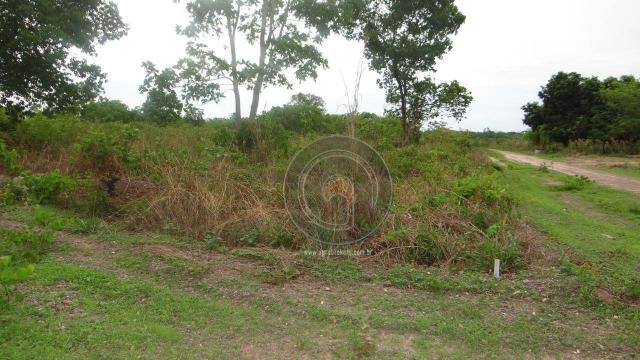 Terreno pra investimento pedra 90 - Foto 6