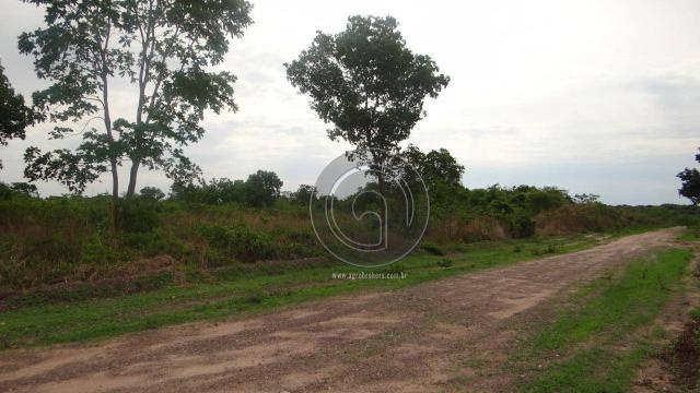 Terreno pra investimento pedra 90 - Foto 2