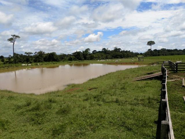 Área Rural (Estrada de Boca do Acre) - Foto 2