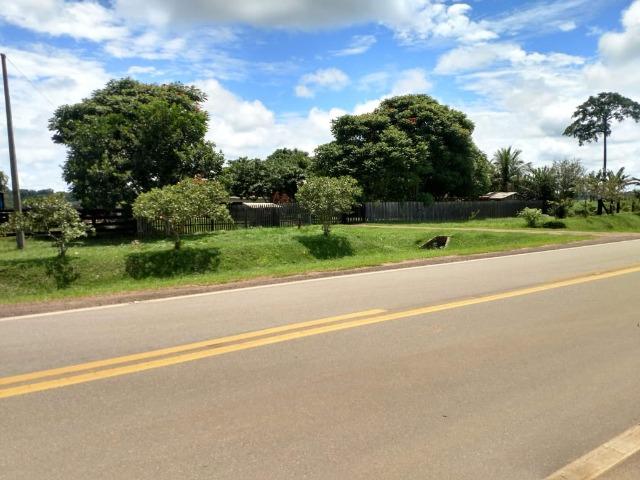 Área Rural (Estrada de Boca do Acre) - Foto 5