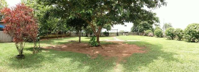 Área Rural (Estrada de Boca do Acre) - Foto 16