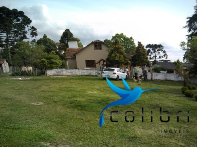 Chácara com casa histórica em agudos do sul - Foto 4