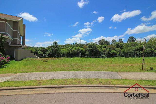 Terreno à venda em Vila nova, Porto alegre cod:6021 - Foto 5